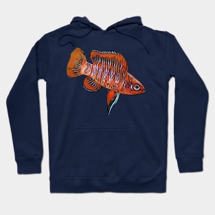 Scarlet Badis Hoodie